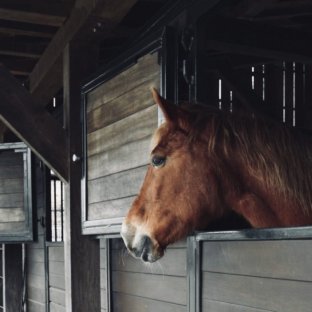 Hoeve Vreckom